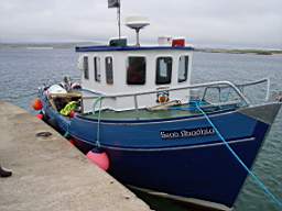 Gola Iseland 1500.jpg